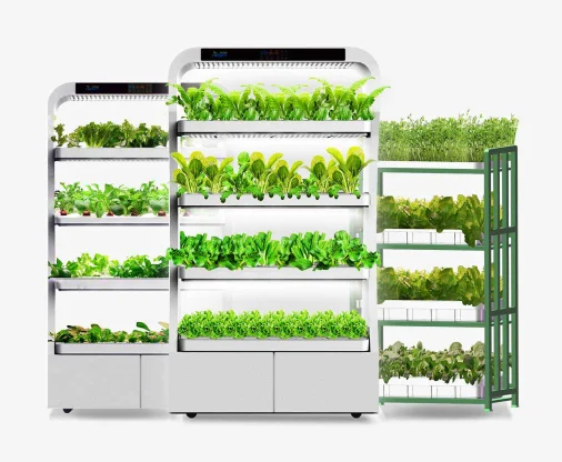 Efficient Greenhouse and Hydroponic Growing System for Indoor Herb Garden with Light