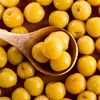 Canned Plums / Prune / prugna Fruit in Light or Heavy Syrup