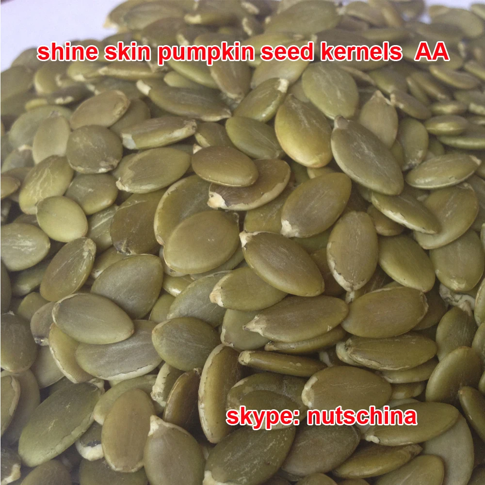 Pumpkin Seeds For Iraq / Iran/ Uae /saudi Arabia/ Jordan/ Russia 11cmup ...