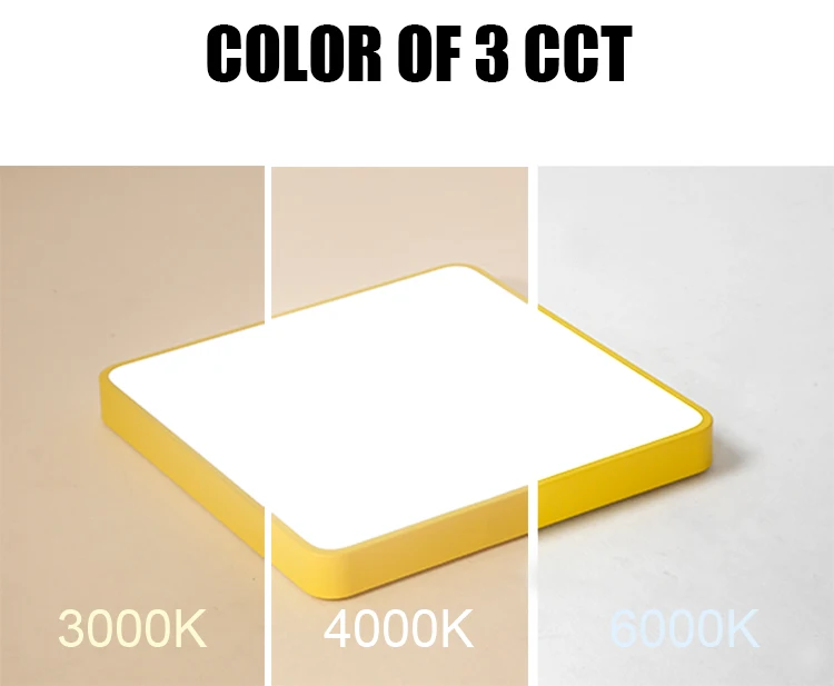 .jpg