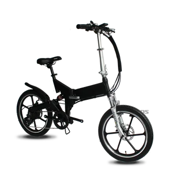 budget folding electric bike