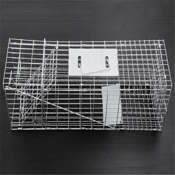 trap3.PNG