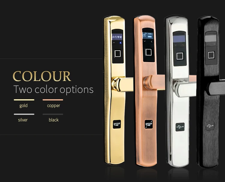 digital electronic lock