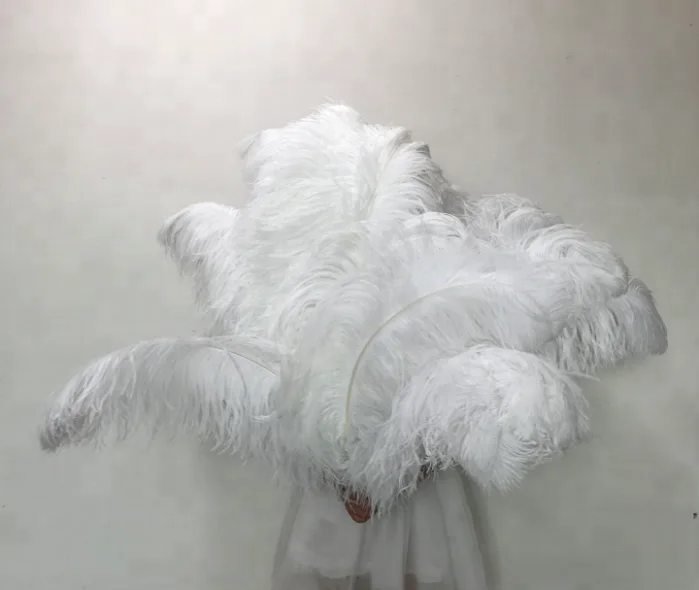 cheap large ostrich feathers