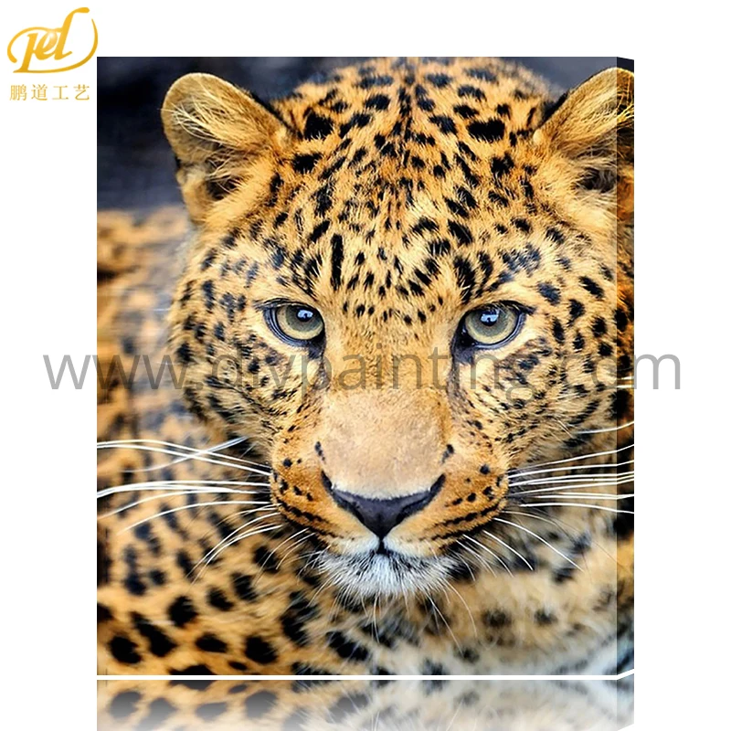 5d Diy Berlian Bordir Berlian Kamar Tidur Hewan Lucu Tiger Titik