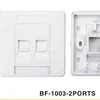 BF1003-2 PORTS FACE PLATE WALL PLATE