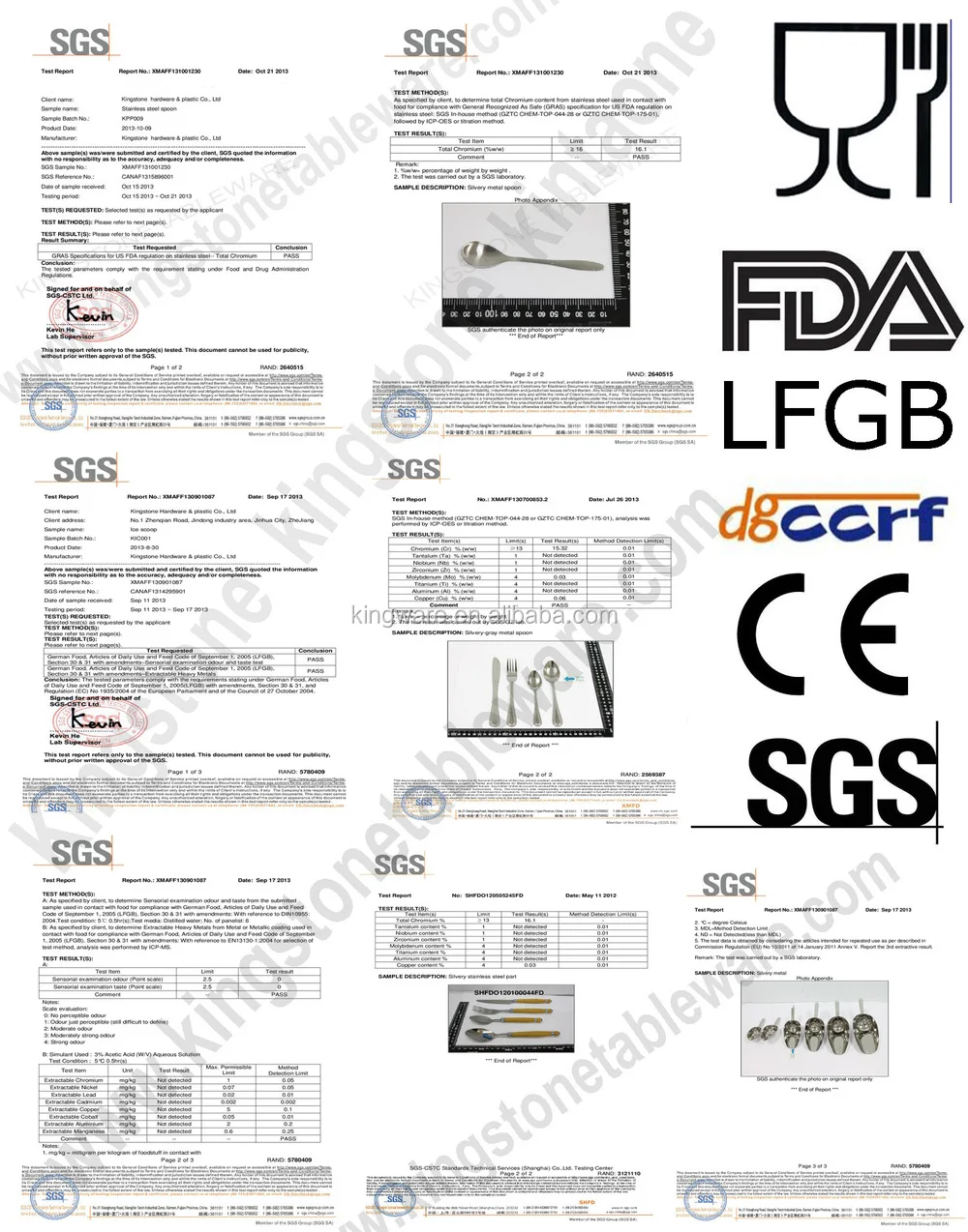 SGS report1