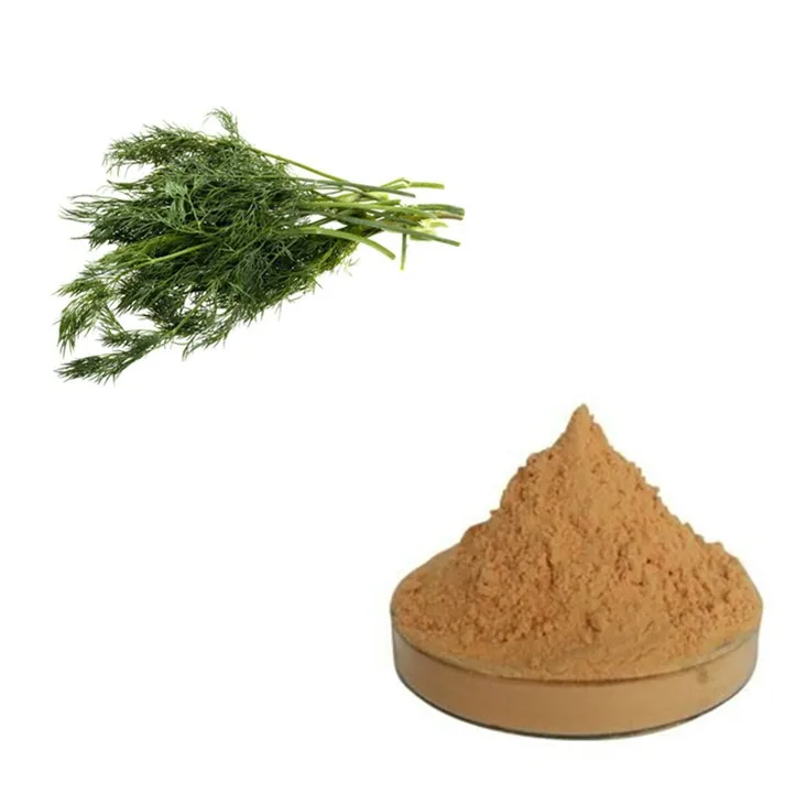 热销售 foeniculum vulgare 体育食品添加剂