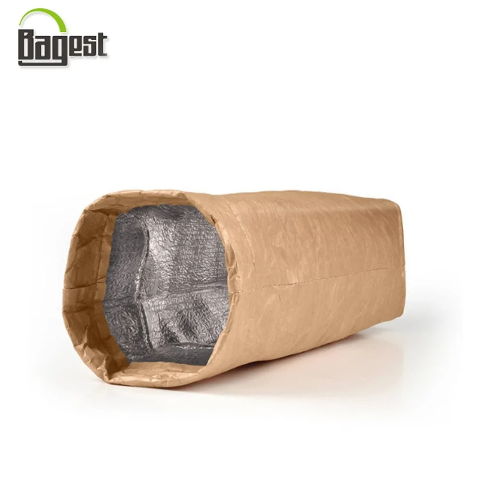 Recycle Ecofriendly Waterproof Dupont Kraft Paper Cooler Tyvek Bag Buy Waterproof Dupont