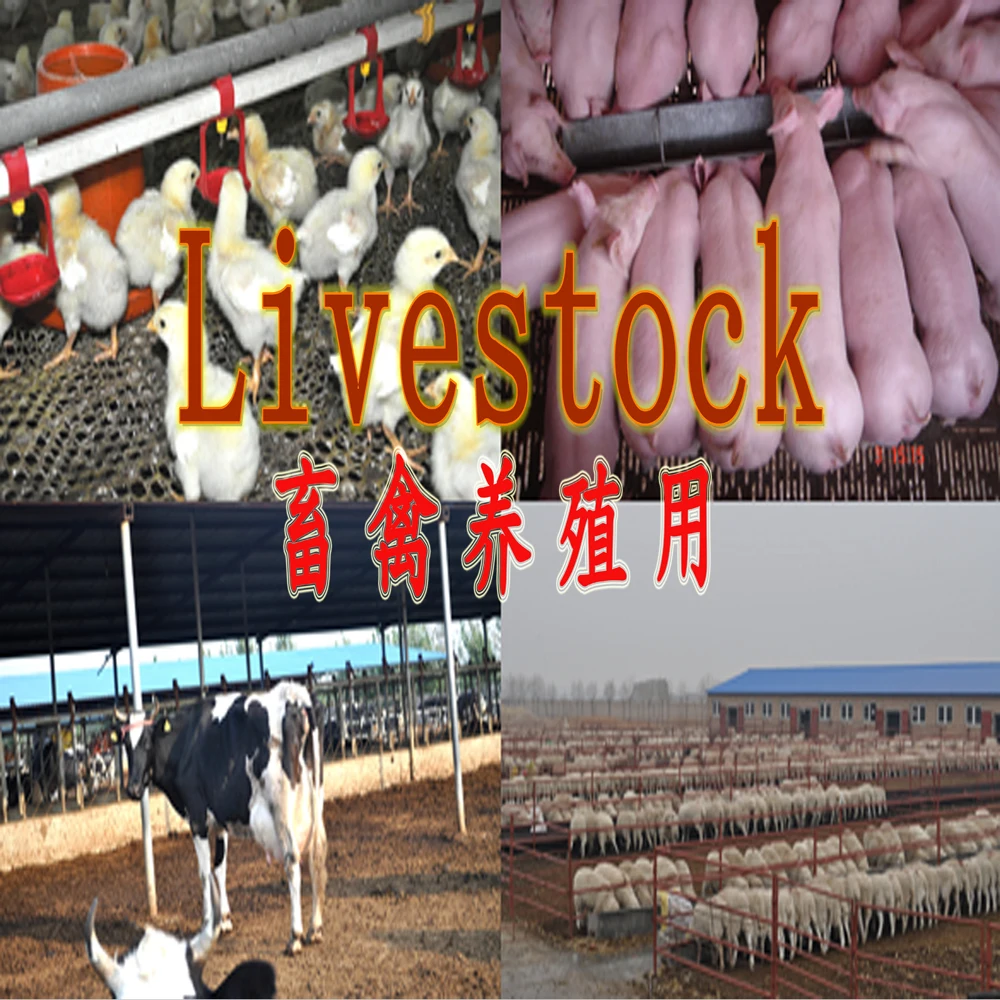 Livestock.jpg