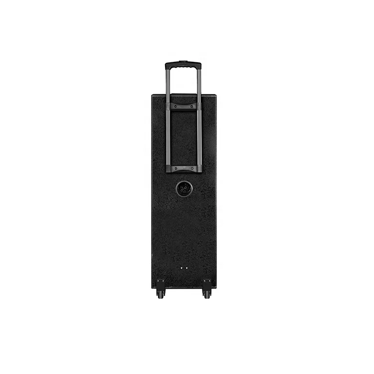 12 Inch Trolley Speaker With Display Screen Multimedia Karaoke Speaker With Touch Screen Tower Speaker - ANKUX.COM