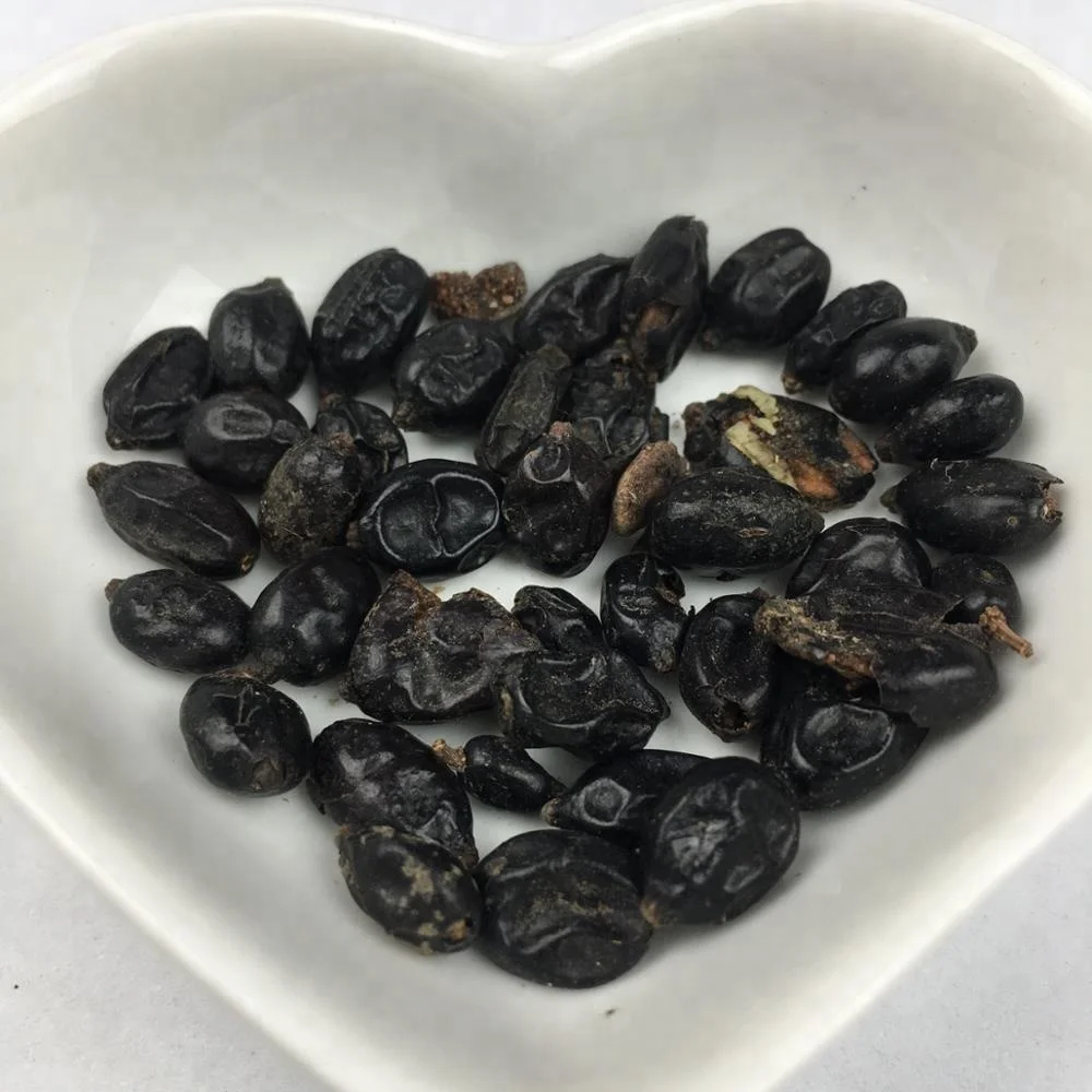 как вырастить гортензию из семян. как вырастить гортензию из семян. семена гортензии метельчатой. размножение гортензии семенами. семена гортензии фото.