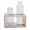 Factory direct sales, small and refreshing, creative home life decoration, NOEL wooden glass plant, water culture desktop decora