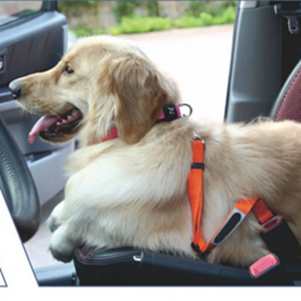Comfortable Dog Seat Belt Tether Large Dog,Dog Seat Belt And Leash,Dog