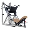 Factory Direct Deal! Classic Strength Equipment/Commercial Use Fitness Equipment Gym 45 Degree Leg Press XR9926