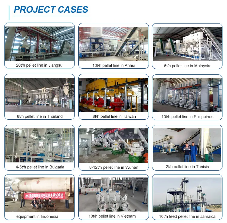 project_cases