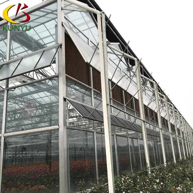 Multi Span Venlo Glass Greenhouse With Galvanized Profile Gutter ...