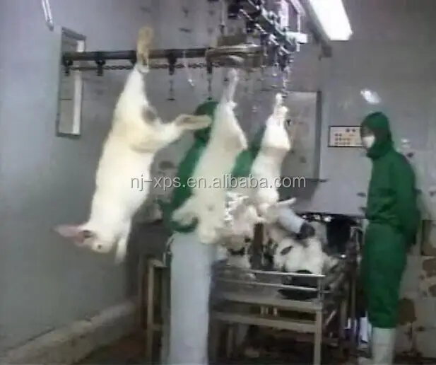 500 Units/hour Rabbit Slaughter Equipment Buy Rabbit Slaughter
