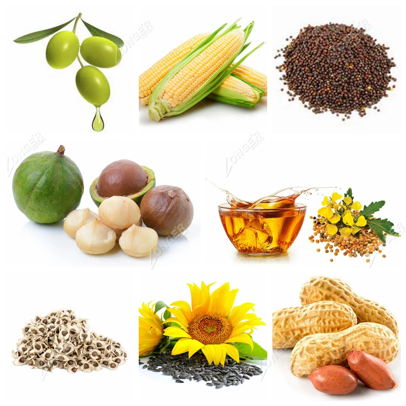 Cotton Seeds Oil Pressing Machinesunflower Seeds Oil Extract Machine