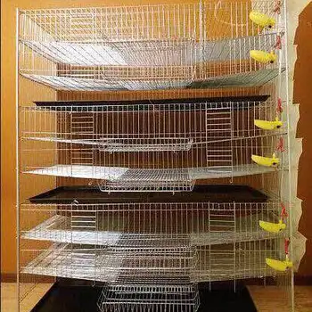 Welded Wire Mesh Quail Cage Type And Bird Use Quail Battery Cages For Sale Buy Wire Mesh Quail Cagewire Mesh Quail Cage Iso9001bird Cages For Sale