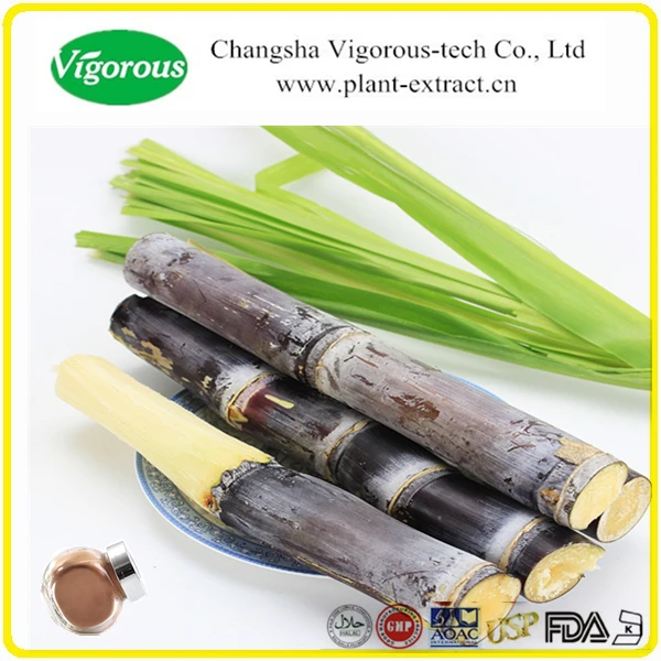 Free Sample Sweet Agent Sugar Cane Juice Powder/ Sugar Cane Extract