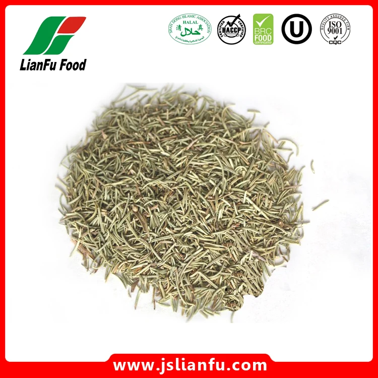 ROSEMARY1.jpg