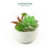/product-detail/new-concrete-pots-plastic-artificial-succulent-plants-arrangements-with-bulk-60793229535.html