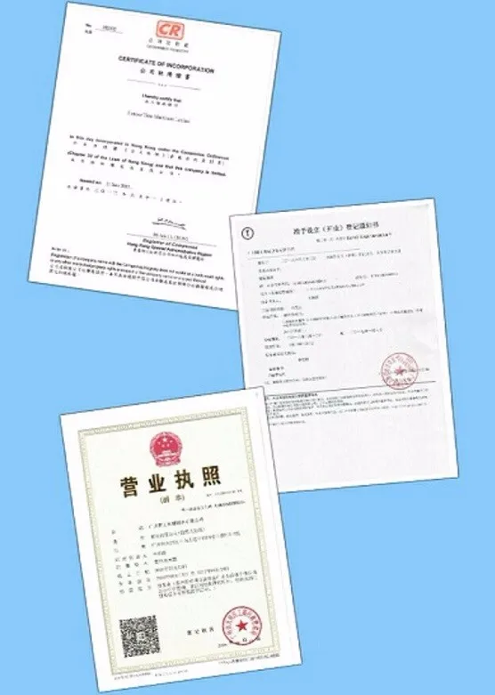 Company license.jpg