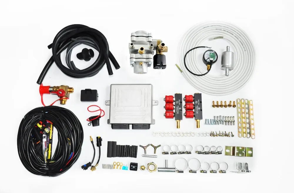 Autogas Petrol Engine Conversion Kits Cng 6 Cylinder Sequential