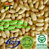 Roasted Salted Blanched Peanuts