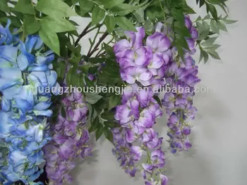 soybean flower