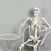 2018 Hot Sale 65 Inch Crazy Scary Spooky Bonez Pose-n-stay Halloween Life Size Skeleton