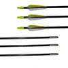 factory price only 0.85$ archery fiberglass arrow for sports archery
