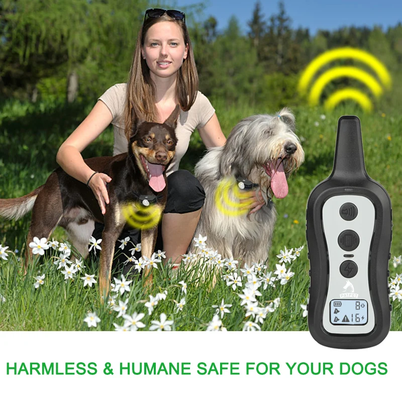 330y remote dog trainer with battery