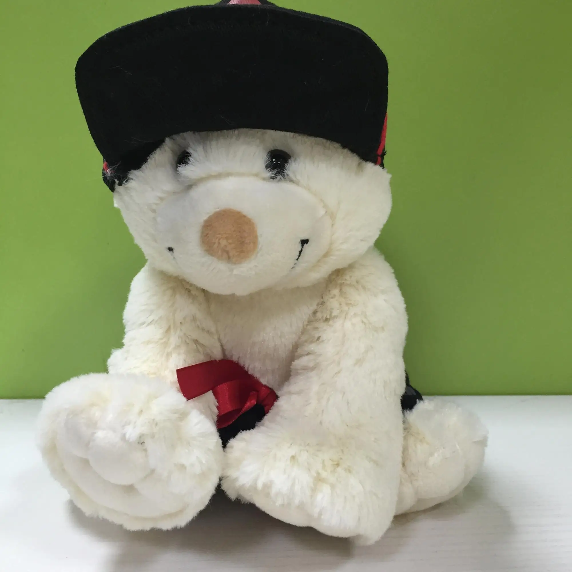 teddy bear with cap