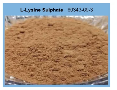 l-lysine-sulphate_03_04.jpg