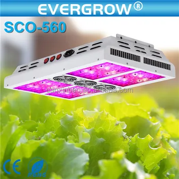 Wall Mounted Light Grow Full Spectrum High And Less Heat Wall Mounted Light Grow Full Spectrum High And Less Heat Growing Facilitative Led