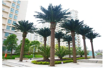 Good Quality Plastic Succulent Plants Artificial Palm Trees Good Quality Plastic Succulent Plants Artificial Palm Trees