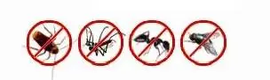 Pest Spray/Aerosol Insecticide/Insecticide Spray