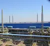 Mannheim process potassium Sulfate chemical engineering projects
