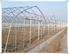 galvanized steel pipe frame agriculture single wide span greenhouse