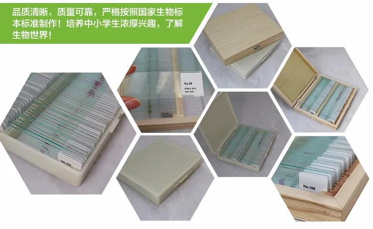 003 microscope slides specimen.jpg