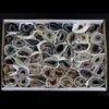 Wholesale 30-40mm Minerals agate quartz crystal cluster geode
