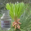8000-26-8, factory wholesale Leaf/Flower/Root/Branches/Fruit/Seeds fir pine needle extract oil