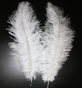 small ostrich feathers