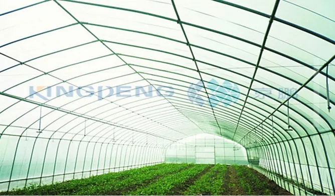 tunnel greenhouse