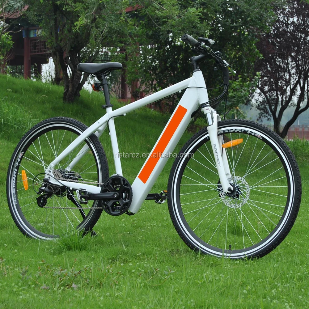 eco electric bike