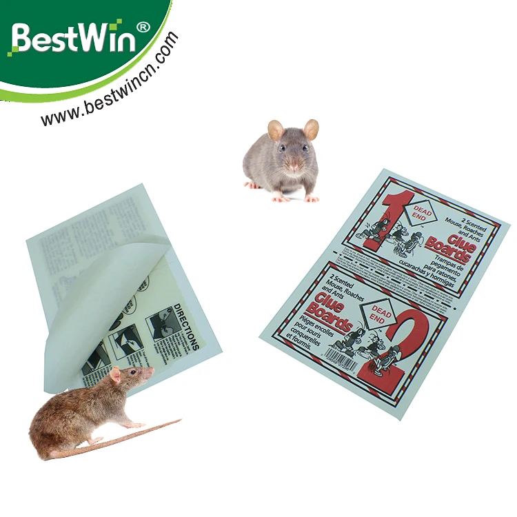 Iso9001 Factory Powerful Rat Glue Boards - Buy Rat Glue Boards ...