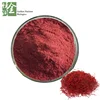 Factory Supplier Saffron Crocus Powder Extract/Saffron Crocus Extract/Saffron Crocus P.E.