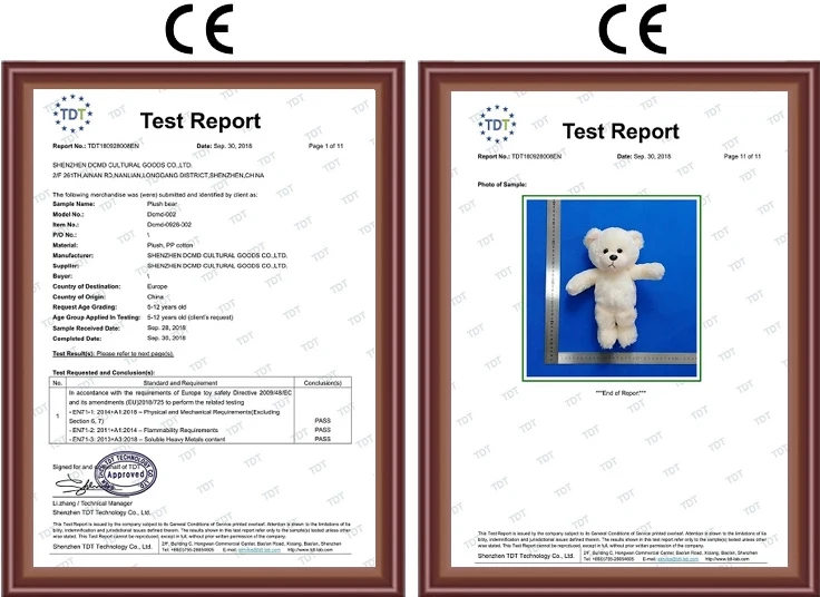 CE CERTIFICATE.jpg